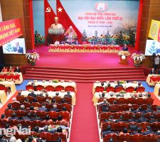 Đại hội đại biểu Đảng bộ tỉnh Đồng Nai lần thứ XI, nhiệm kỳ 2020-2025